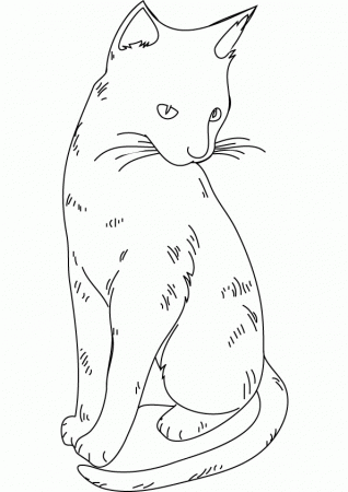 Warrior Cat Coloring Pages To Print - High Quality Coloring Pages