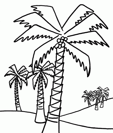Palm Tree Coloring Sheet - Coloring Pages for Kids and for Adults