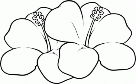 Hibiscus - Coloring Pages for Kids and for Adults