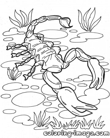 Dangerous scorpion | Free coloring pages for kids