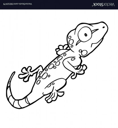 Cartoon cute gecko coloring page ...vectorstock.com