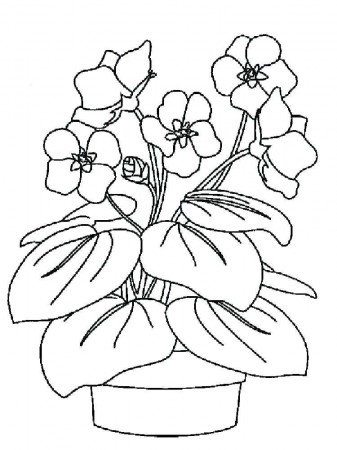 Plants and Flowers Archives - Best Coloring Pages For Kids