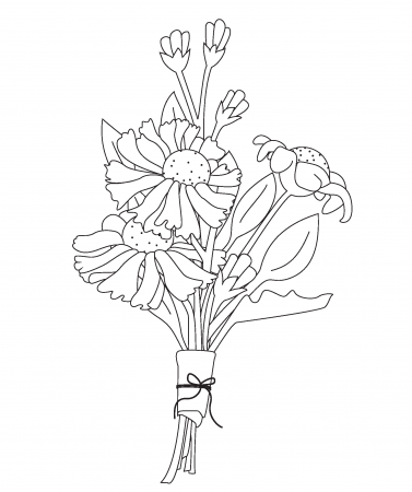 Free Printable Coloring Pages - Botanical PaperWorks