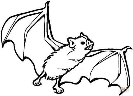 Bat Coloring Pages For Kids Printable - Ccoloringsheets.com