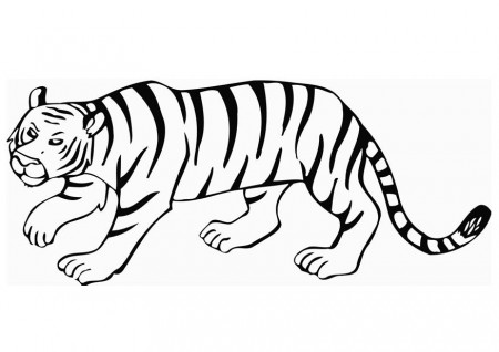 Coloring page tiger - img 12849.
