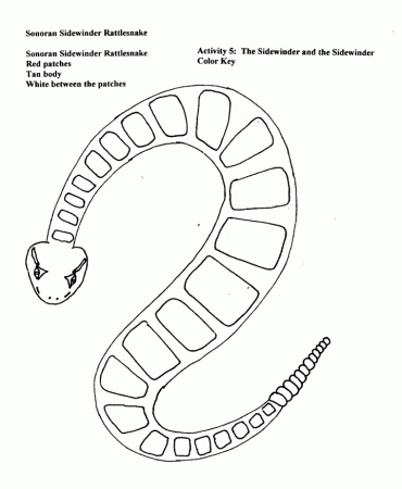 The Living Edens "Namib" -- Teacher's Resources -- The Sidewinder 