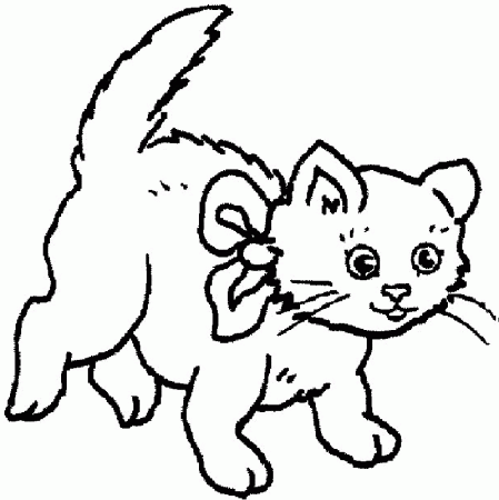 at and kitten Colouring Pages