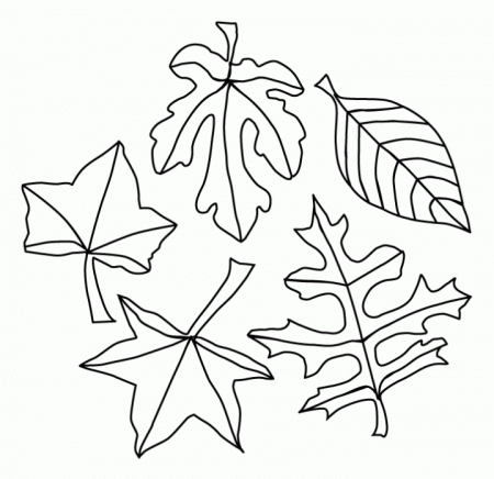 Fall Leaves Coloring Pages | Free Internet Pictures