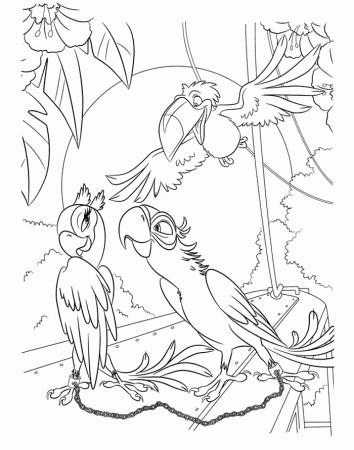 Bird Images For Coloring | Free coloring pages