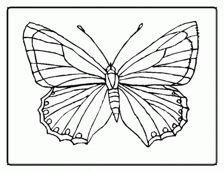 Kids Coloring Free Printable Butterfly Coloring Pages For Kids 