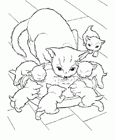 Free Cat Drinking Milk Coloring Page