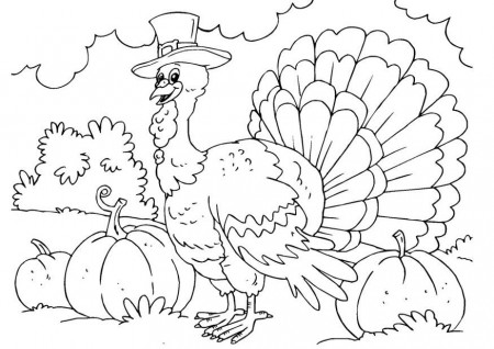Coloring page turkey - img 22906.