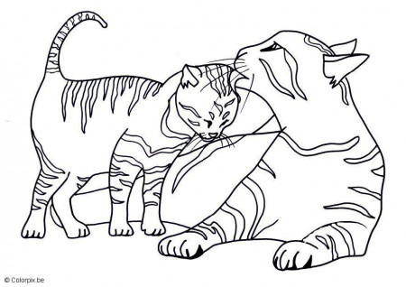 Coloring page kittens - img 11591.