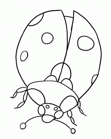 Bugs Coloring Pages And Sheets Can Be Found In The Color Page 