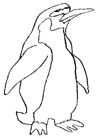 Penguins Coloring Page | Animal Coloring Pages | Kids Coloring 