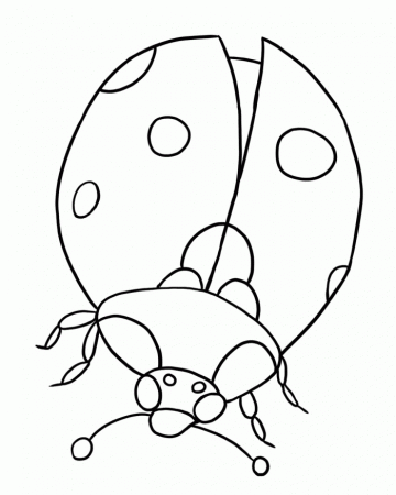 Lady Bug Coloring Page For Kids | 99coloring.com