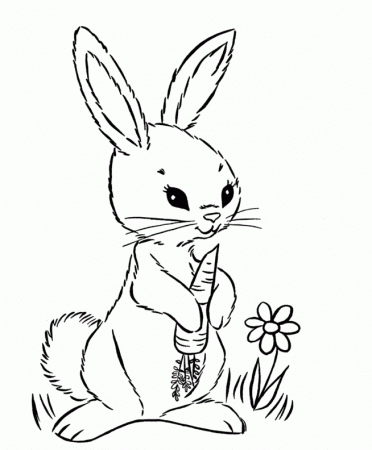 Bunny Holding A Carrot Coloring For Kids - Fruit Coloring Pages 