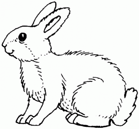 rabbit coloring page animals town color sheet