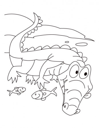 Alligator motto-Live n let live coloring pages | Download Free 