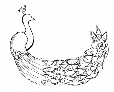 Peacock Coloring Pages For Kids Pictures Imagixs Id 74842 135639 