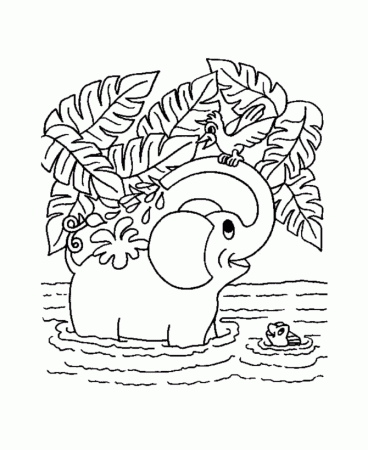 Jungle Coloring Pages (16) - Coloring Kids