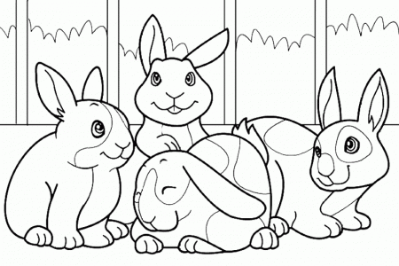 Color in a bunny coloring page in stead of buying some bunnies 