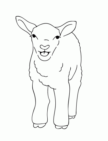 lion lamb Colouring Pages (page 3)