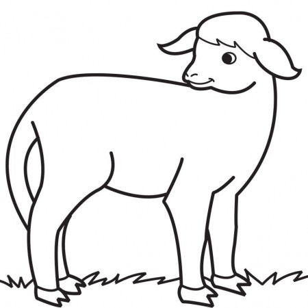download Lamb Coloring Pages For Kids | Great Coloring Pages