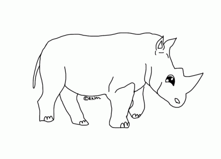 Hippopotamus Coloring Page Cool Custom Coloring Pages 249042 