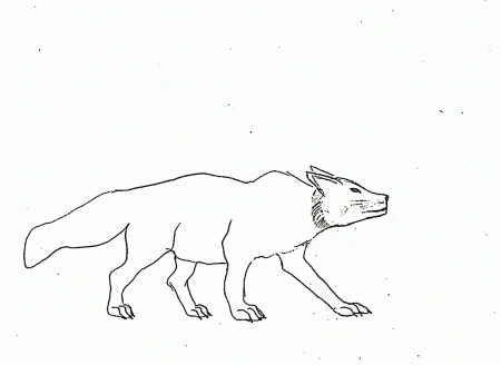 Arctic Fox Drawing - Cmilodonka © 2014 - May 16, 2012