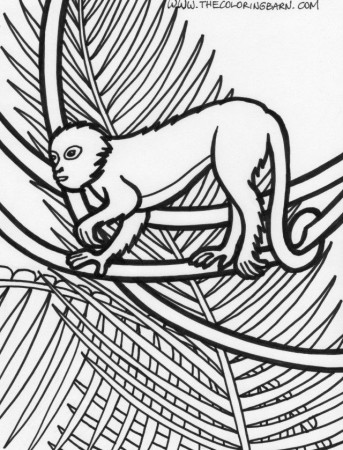 18 Lemur Coloring Page Free Coloring Page Site 152022 Lemur 