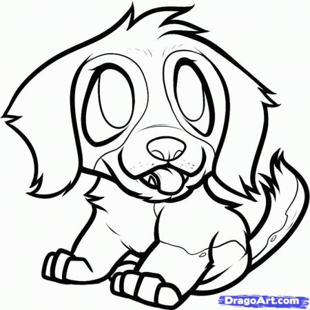 How to Draw a Saint Bernard Puppy, St Bernard Puppy, Step by Step 