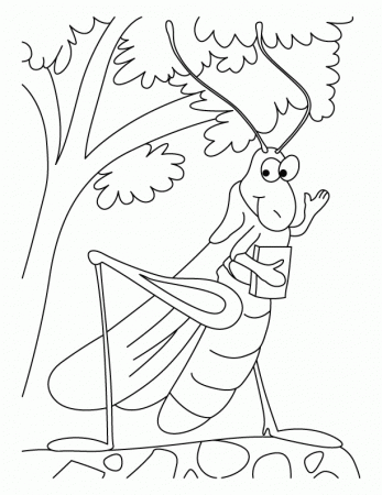 Grasshopper Coloring Page | Coloring Pages