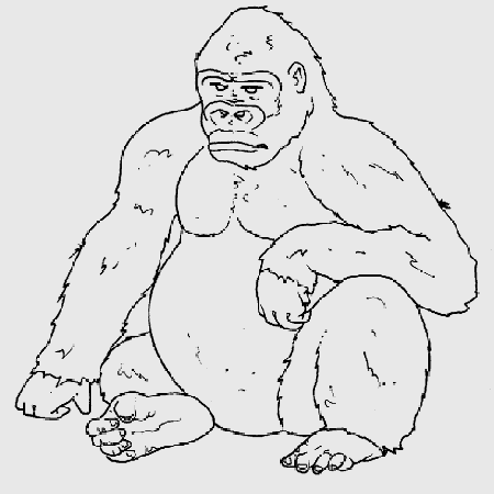 Gorilla Drawings For Kids Images & Pictures - Becuo