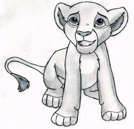 How To Draw The Lion King | drawing collection