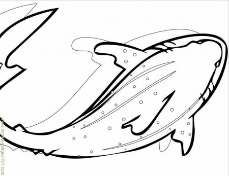 Coloring Pages Whale Shark Ink (Fish > Shark) - free printable 