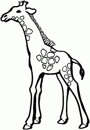 Coloring page: giraffe | Free printable downloads from ChoreTell