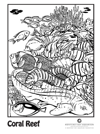 Coral Reef Coloring Pages | Coloring Pages