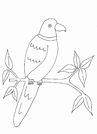 Parrot Printable Coloring Page For Kids Coloring Pages Of Various 