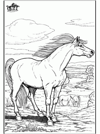 Funnycoloringcom Animals Coloring Pages Horses Wild Horse