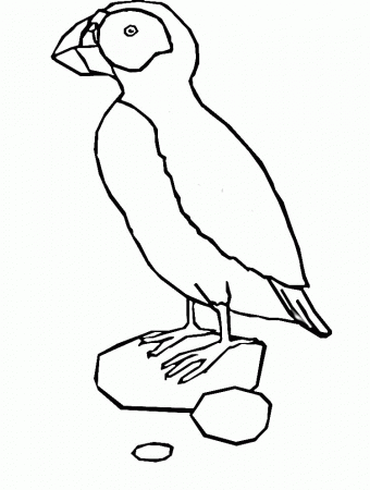 puffin Colouring Pages (page 2)