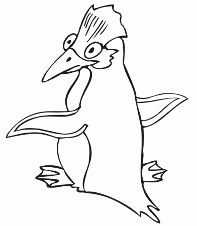 Penguin Coloring Page | Goofy Looking Penguin