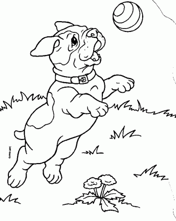 Dachshund With Puppies Coloring Page Super Coloring : Coloring 