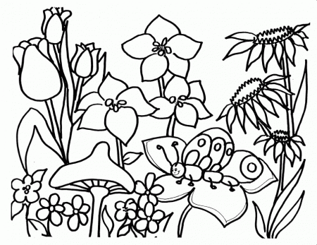 Flower Coloring Pages | ColoringMates.