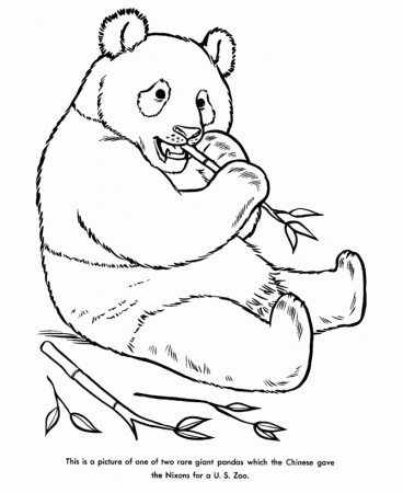 Zoo Animal Coloring Pages | Panda Bear Coloring Page and Kids 