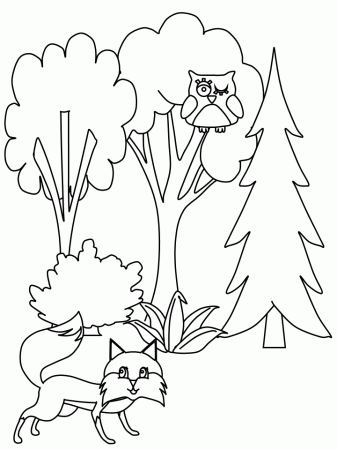 Tree5 Trees Coloring Pages & Coloring Book