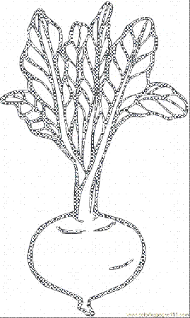 Coloring Pages Beetroot 3 (Natural World > Vegetables) - free 