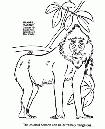 Search Results » African Animal Coloring Pages For Kids