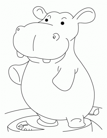 Heavy hippopotamus coloring pages | Download Free Heavy 