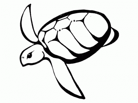 Hawaiian Turtle Outline | Clipart Panda - Free Clipart Images